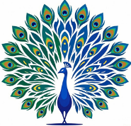 Peak Optimization logo